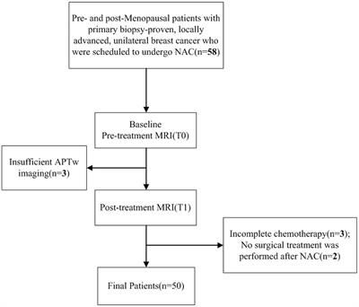 Early prediction of pathological response to neoadjuvant chemotherapy of breast tumors: a comparative study using amide proton transfer-weighted, diffusion weighted and dynamic contrast enhanced MRI